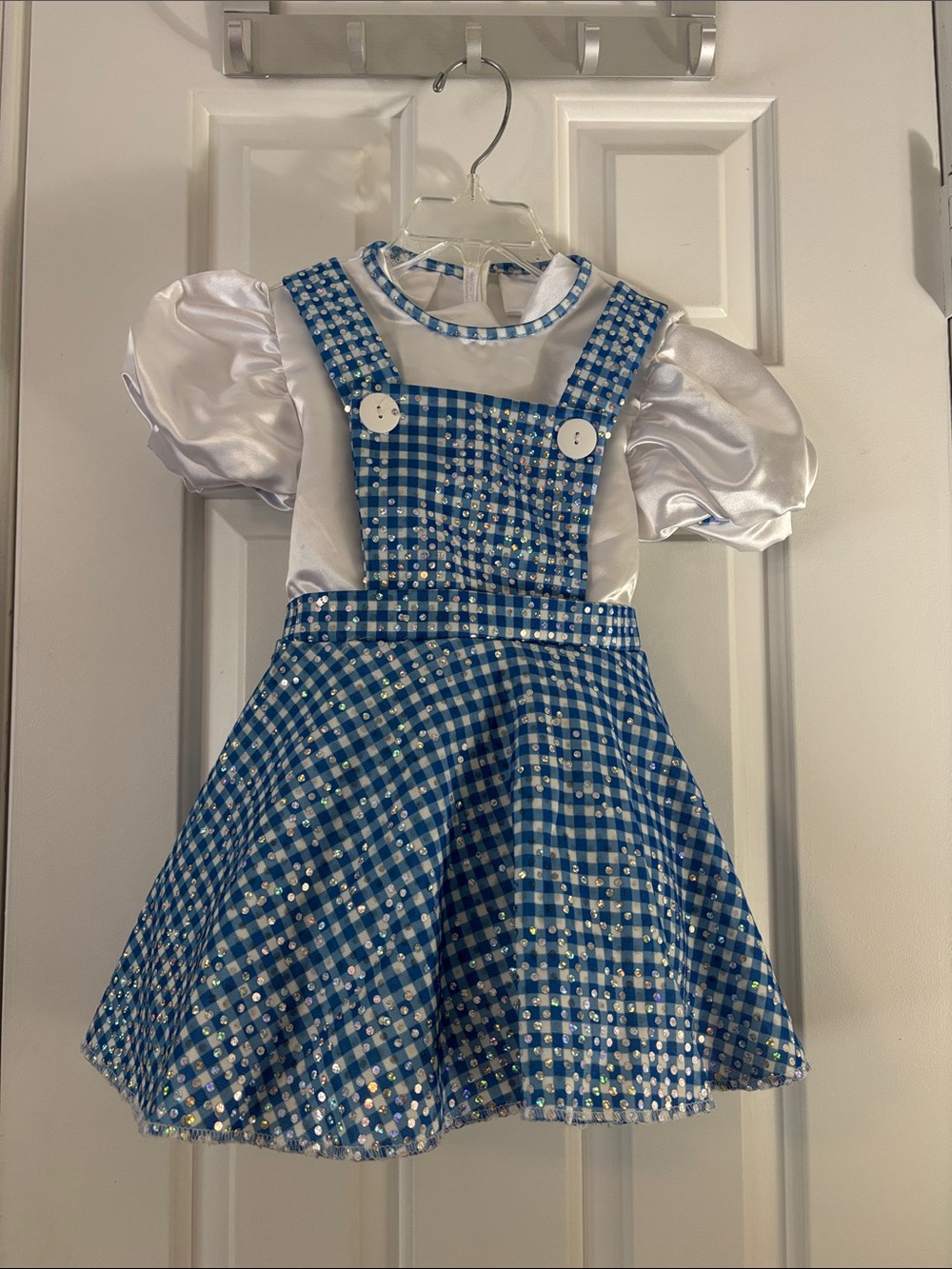 Blue Gingham Pinafore Kids Costume with White Puff-Sleeve Top (size 3-4)